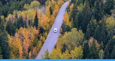 Aerial view of a winding road through a dense forest with autumn foliage, showcasing vibrant yellow and green trees, and a single vehicle traveling along.