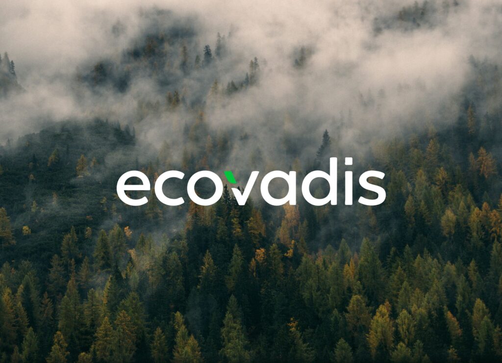 A misty forest landscape with the brand name "ecovadis" overlaid in white text.