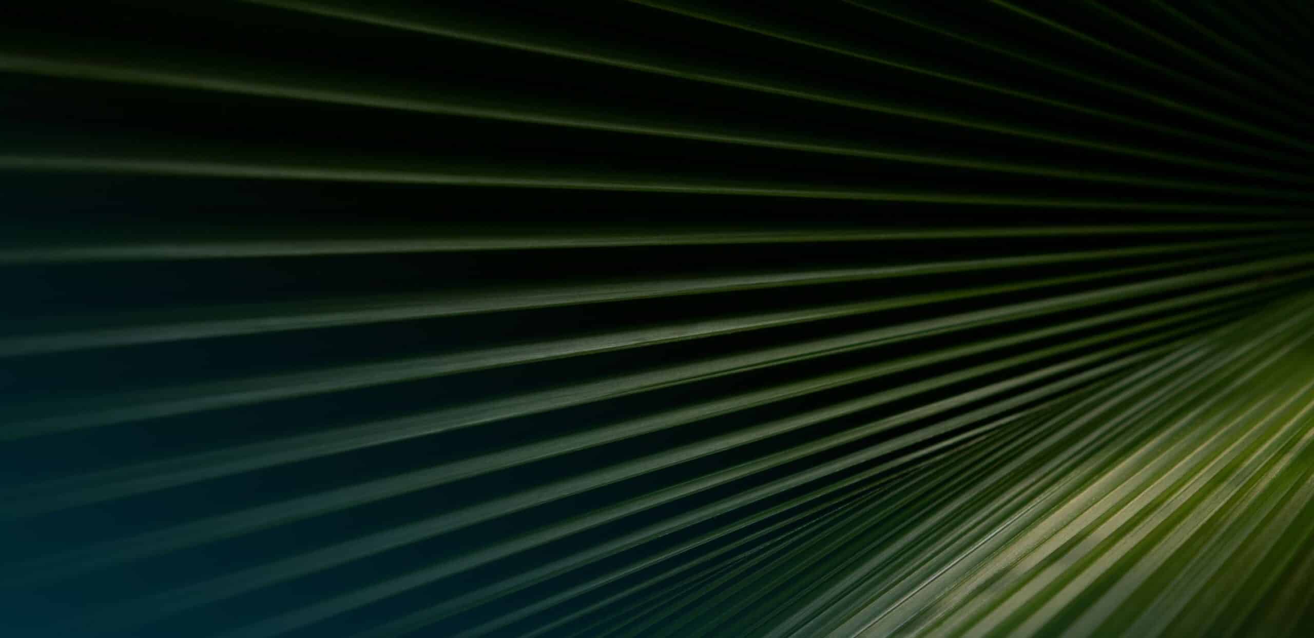 Abstract image of parallel green lines radiating diagonally across a dark background, creating a sense of movement and depth.